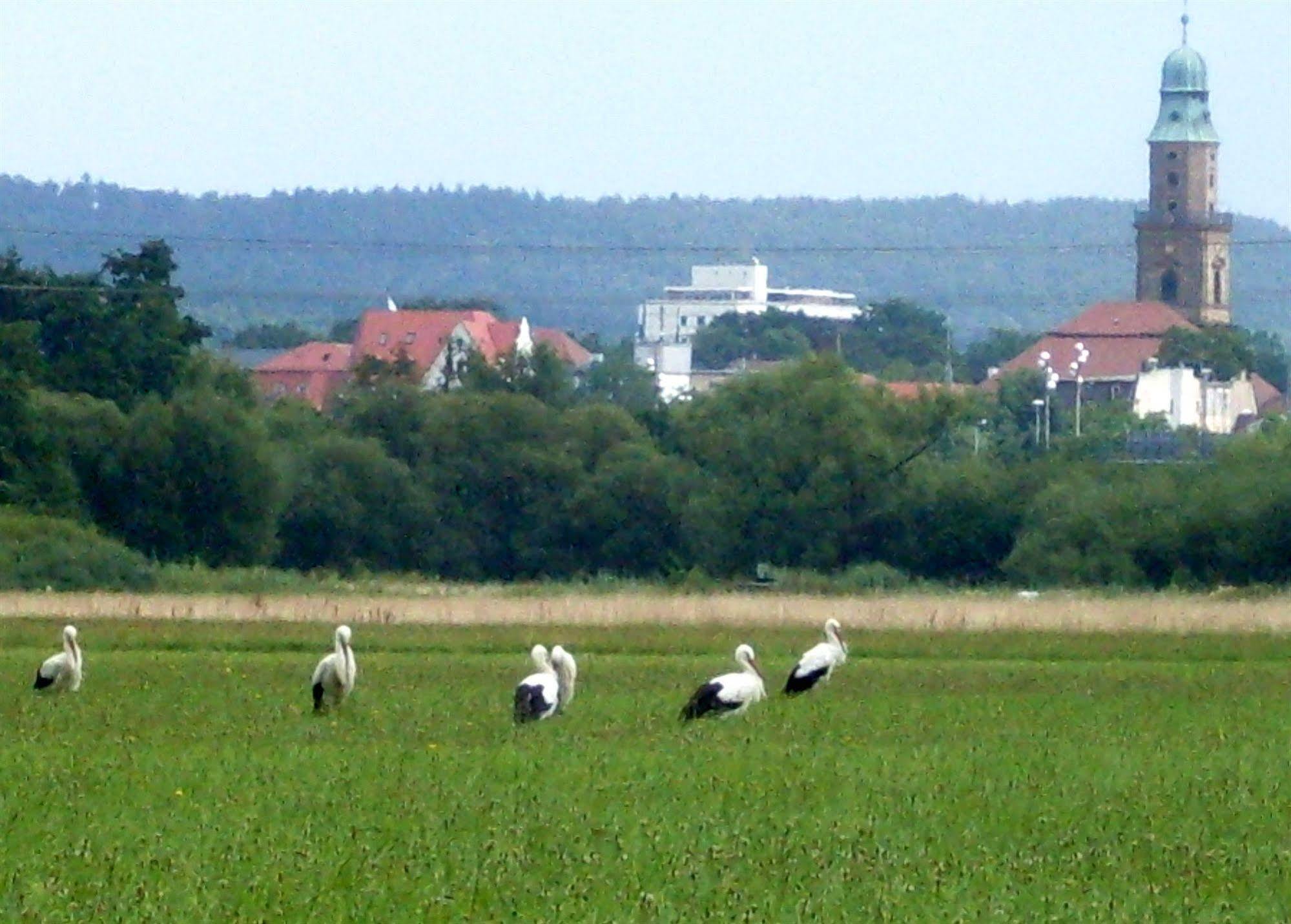 Hotel Klara Birnbaum Erlangen Buitenkant foto